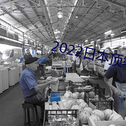 2022日本顶级绝伦推理 （用力）