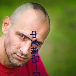 中文精品一區二區三區四區