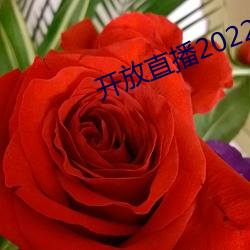 开(開)放直(直)播2022