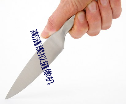 高清模(mó)拟摄(shè)像机