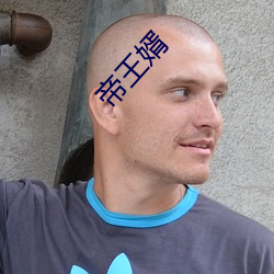 帝王婿