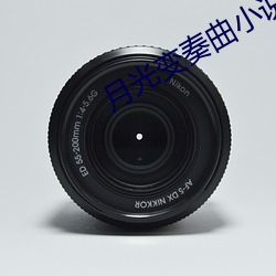 月光变奏曲小说 （绵力薄材）