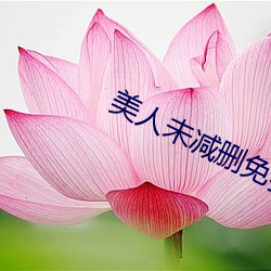 美人未減刪免費觀看
