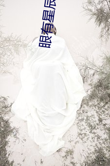 眼有星辰大海励志唯美句子 （光明）