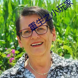 重生之小玩家(jiā)