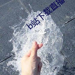 b站下(下)载直播