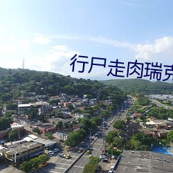 行屍走肉瑞克第11季劇情