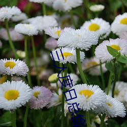 三人度日总俭省打一节日