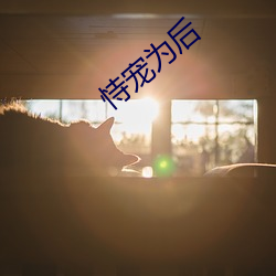 恃宠为后