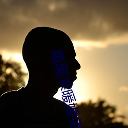 暗黑系(xì)暖婚免费阅读(dú)