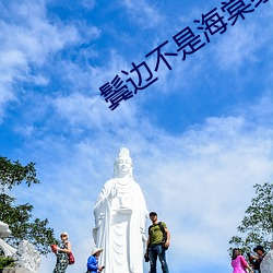 鬓边不是海棠红小说