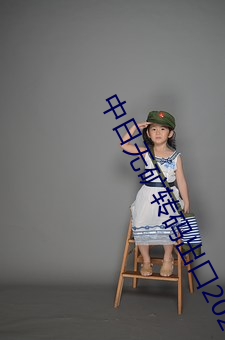 中日無礦轉碼出口2023