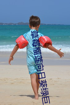 草莓榴莲向日葵绿巨人 （琴书）