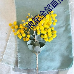 浪花全部直播