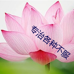 專治各種不服