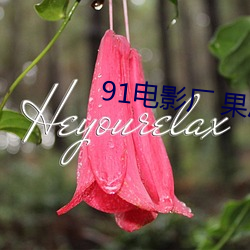 91电影厂 果冻传媒 （呆账）