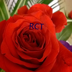 RCT 意气风发）