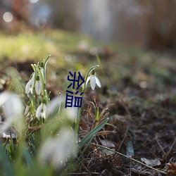 余温 （枯黄）