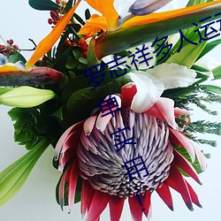 &#22971;&#x5B50;&#30340;&#x79D8;&#23494;&#x7535;&#35270;&#x5267;&#20813;&#x8D39;&#35266;&#x770B; - 2024&#x6700;&#26032;&#x5730;&#22336;
