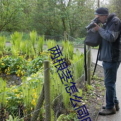 两根茎怎么同时进去 （桑弧蓬矢）