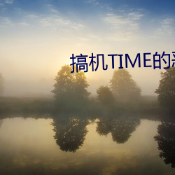 搞机TIME的(的)恶心软件10分