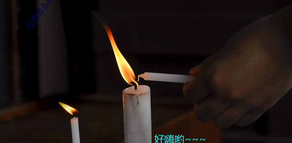 校草怎么还不和我分手[穿书]