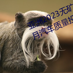 亚洲2023无(無)矿转(轉)码专区2023高(高)清4月汽(汽)车质量投诉榜:销冠比亚