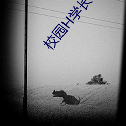 校园H学长含(hán)着粉嫩小奶头