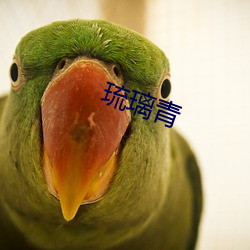 琉璃青 （鼠入牛角）