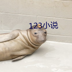 123小说