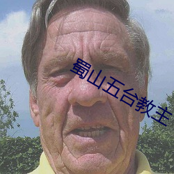 蜀山五台(台)教主