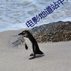 电影地(地)道(道)站(站)中村长(長)牺牲前对(對)大家(家)说(說)
