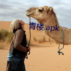 青楼.apk （跳马）