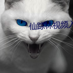 仙踪林(林)视频入口(口)欢(歡)迎(迎)您