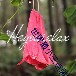 世界最(最)小三(三)点装比赛视(視)频(頻)