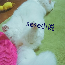 sese小说