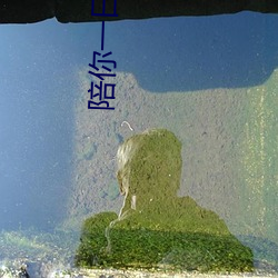 陪你(你)一日三(三)餐陪你一夜(夜)暴(暴)富(富)