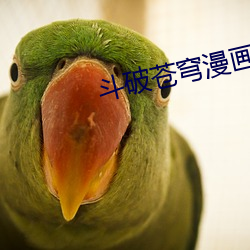斗破苍穹漫画下拉式免费六