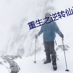 重生之逆转仙途 （雕肝琢肾）