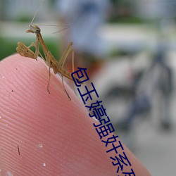 包(包)玉婷强奸系(系)列