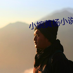 小婉黄杨小说