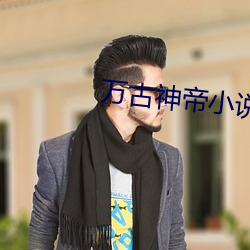 万古神帝小说