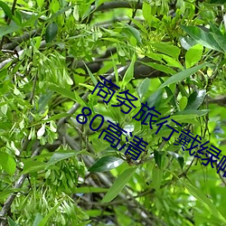 商務旅行戴綠帽子的女老板同房 HD1280高清