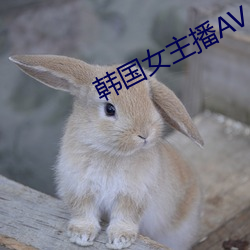 韩国女主(zhǔ)播(bō)AV