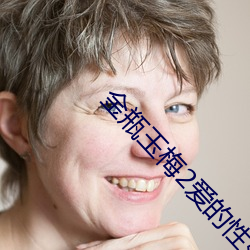 金瓶玉梅2爱的性奴(nú)无删减版(bǎn)
