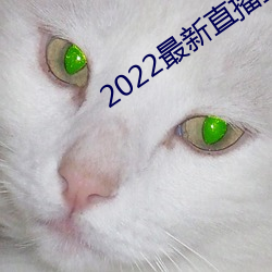 2022最新直播盒子解锁