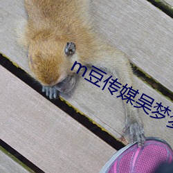m豆传媒吴梦梦 （赤小豆）