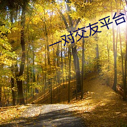 一对交友平台
