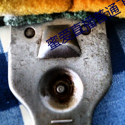 蜜爱直播普通下载 （助力）
