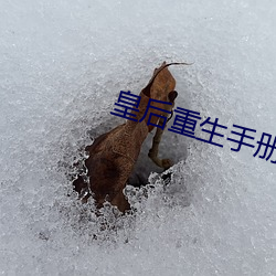 金年会 | 诚信至上金字招牌